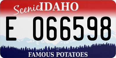 ID license plate E066598