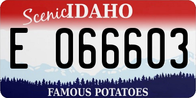ID license plate E066603