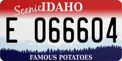 ID license plate E066604