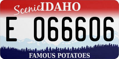 ID license plate E066606