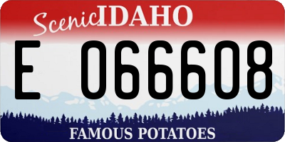 ID license plate E066608