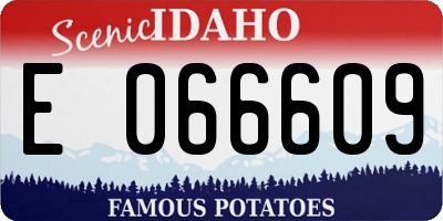 ID license plate E066609