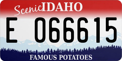 ID license plate E066615