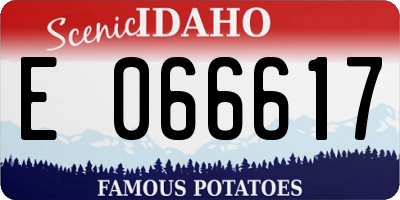 ID license plate E066617