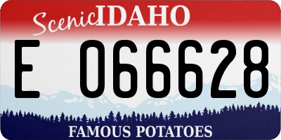 ID license plate E066628