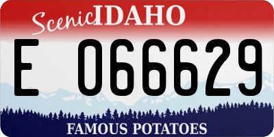 ID license plate E066629