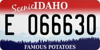ID license plate E066630