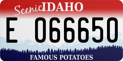 ID license plate E066650