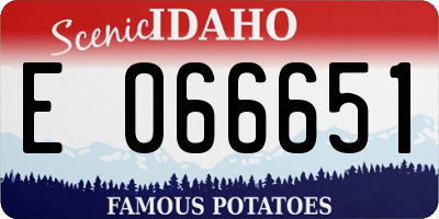 ID license plate E066651