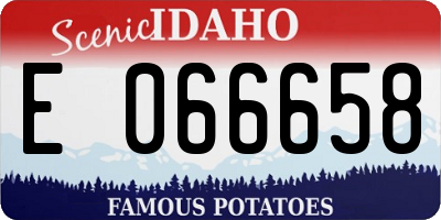 ID license plate E066658