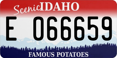 ID license plate E066659