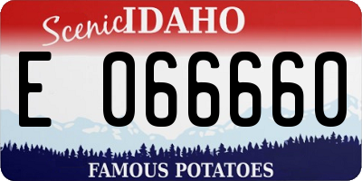 ID license plate E066660
