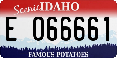 ID license plate E066661
