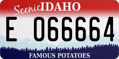 ID license plate E066664