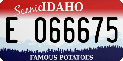 ID license plate E066675