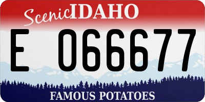ID license plate E066677