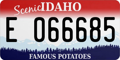 ID license plate E066685