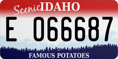 ID license plate E066687