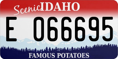 ID license plate E066695