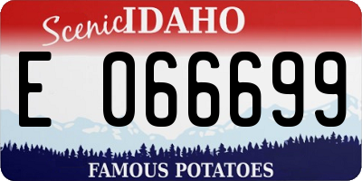 ID license plate E066699