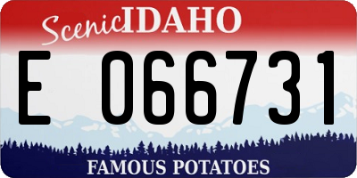 ID license plate E066731