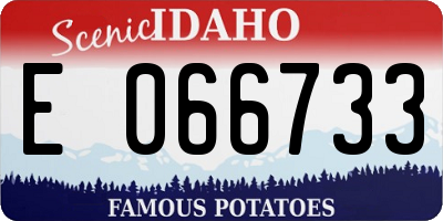 ID license plate E066733