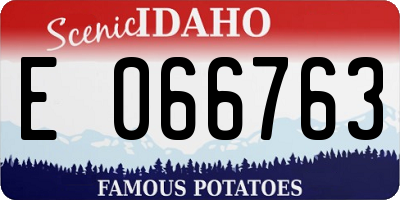 ID license plate E066763