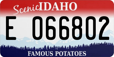 ID license plate E066802