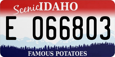 ID license plate E066803