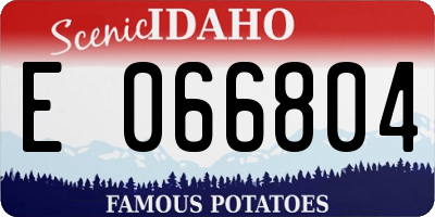 ID license plate E066804