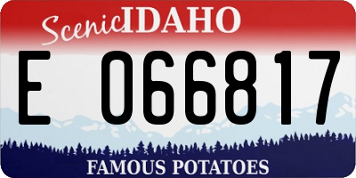 ID license plate E066817