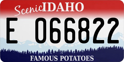 ID license plate E066822