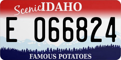 ID license plate E066824