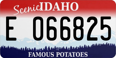 ID license plate E066825