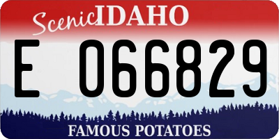 ID license plate E066829