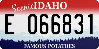 ID license plate E066831