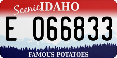ID license plate E066833