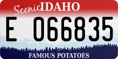 ID license plate E066835