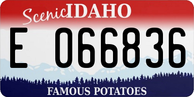ID license plate E066836