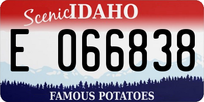 ID license plate E066838