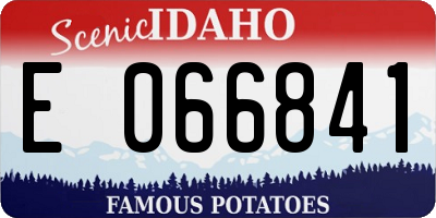 ID license plate E066841
