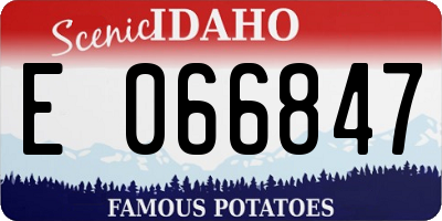 ID license plate E066847