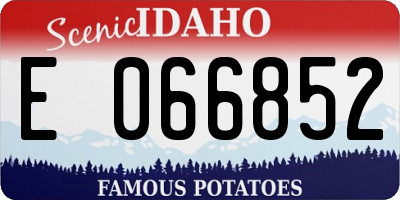 ID license plate E066852
