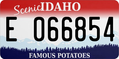 ID license plate E066854