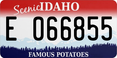 ID license plate E066855