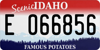 ID license plate E066856