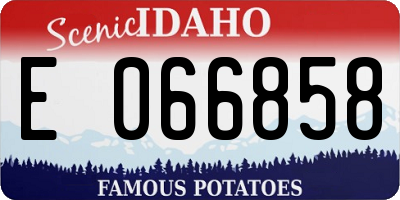 ID license plate E066858