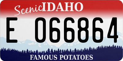 ID license plate E066864