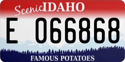 ID license plate E066868