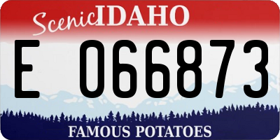 ID license plate E066873